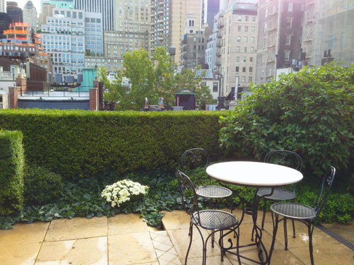 NYC Rooftop Autumn